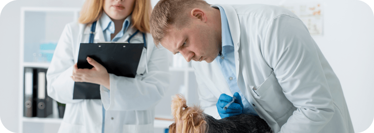 Medical professionals reviewing physician credentials for an assignment